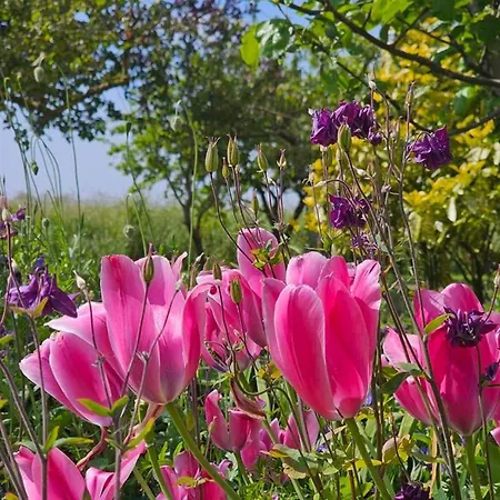 Ferienappartment Hafenblick *