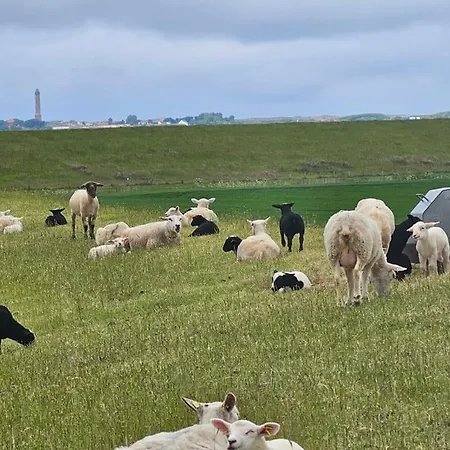 Apartamento Ferienappartment Hafenblick